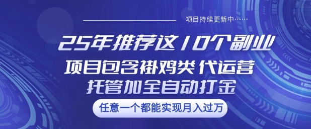 25年推荐这10个副业项目包含褂鸡类、代运营托管类、全自动打金类【揭秘】-南友云赚