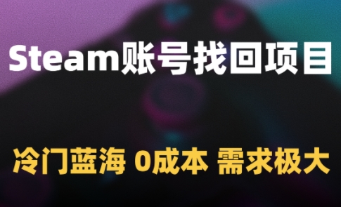 Steam账号找回项目，冷门蓝海，0成本，需求极大-南友云赚
