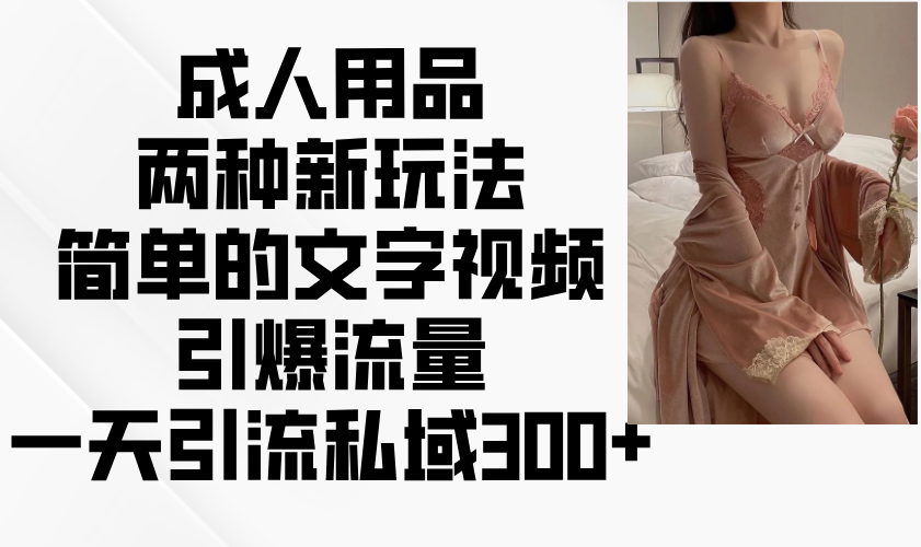 成人用品两种新玩法，简单的文字视频引爆流量，一天引流私域300+-南友云赚