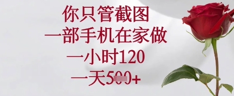 你只管截图，一部手机在家可以做，一小时120.一天5张+【揭秘】-南友云赚