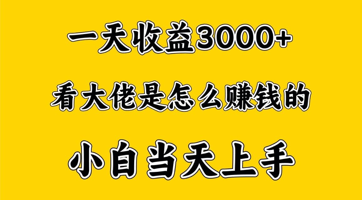 7edc5ca145dc367bf5c3945e0dad2fe6.jpeg 一天赚3000多,大佬是这样赚到钱的,小白当天上手,穷人翻身项目