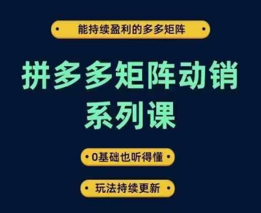 拼多多矩阵动销系列课，能持续盈利的多多矩阵，0基础也听得懂，玩法持续更新-南友云赚