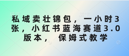 私域卖壮锦包，一小时3张，小红书蓝海赛道3.0版本， 保姆式教学-南友云赚