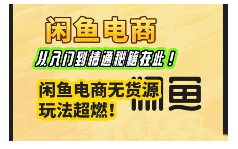 闲鱼电商实战课，从入门到精通秘籍在此，闲鱼电商无货源玩法超燃!-南友云赚