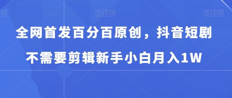全网首发百分百原创，抖音短剧不需要剪辑新手小白月入1W-南友云赚