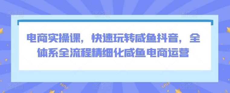 电商实操课，快速玩转咸鱼抖音，全体系全流程精细化咸鱼电商运营-南友云赚