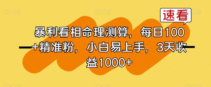暴利看相命理测算，每日100+精准粉，小白易上手，3天收益1000+【揭秘】-南友云赚