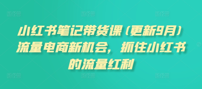 小红书笔记带货课(更新25年3月)流量电商新机会，抓住小红书的流量红利-南友云赚