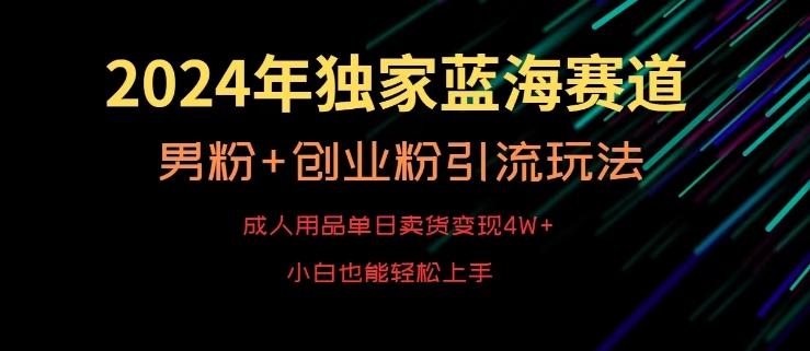 2024年独家蓝海赛道，成人用品单日卖货变现4W+，男粉+创业粉引流玩法，不愁搞不到流量【揭秘】-南友云赚