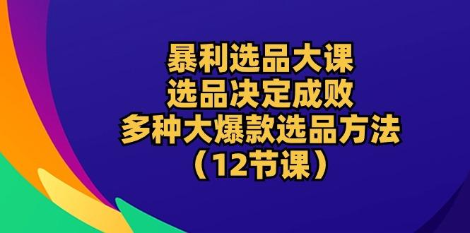暴利 选品大课：选品决定成败，教你多种大爆款选品方法(12节课-南友云赚