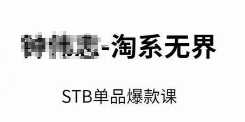 淘系无界STB单品爆款课(2024)，付费带动免费的核心逻辑，万相台无界关键词推广/精准人群的核心-南友云赚