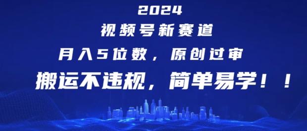 2024视频号新赛道，月入5位数+，原创过审，搬运不违规，简单易学【揭秘】-南友云赚