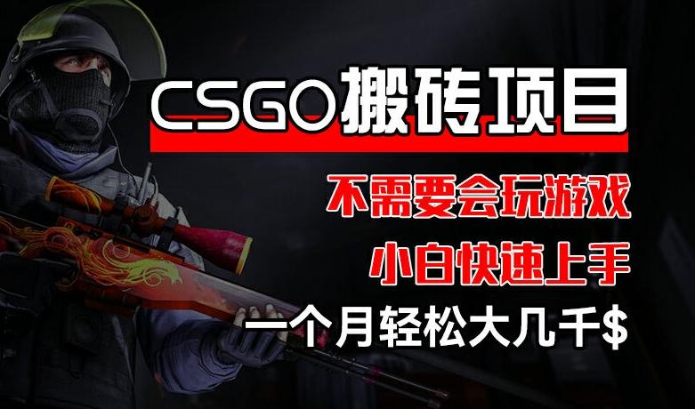 CSGO 装备搬砖项目，操作简单，不需要会玩游戏，小白也能快速上手，一个月轻松大几千【揭秘】-南友云赚