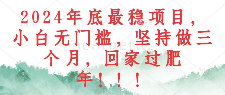 2024年底最稳项目，小白无门槛，坚持做三个月，回家过肥年！！！-南友云赚