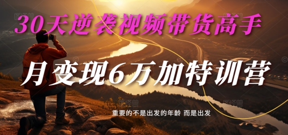 30天逆袭视频带货高手，单月变现6万加特训营-麦子甜-南友云赚