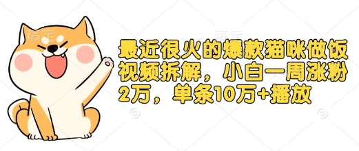 最近很火的爆款猫咪做饭视频拆解，小白一周涨粉2万，单条10万+播放(附保姆级教程)-南友云赚