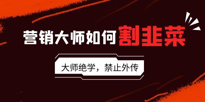营销大师如何割韭菜：流量大师/讲故事大师/话术大师/卖货大师/成交大师/…-南友云赚