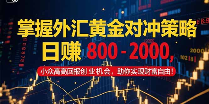 掌握外汇黄金对冲策略，日赚 800 – 2000，小众高回报创业机会，助你实…-南友云赚