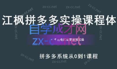 江枫老师·拼多多实操课程-南友云赚