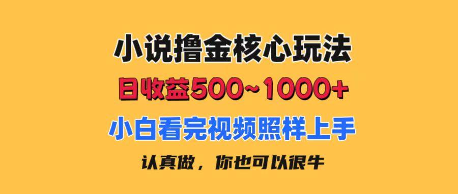 小说撸金核心玩法，日收益500-1000+，小白看完照样上手，0成本有手就行-南友云赚