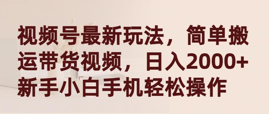 (9486期)视频号最新玩法，简单搬运带货视频，日入2000+，新手小白手机轻松操作-南友云赚