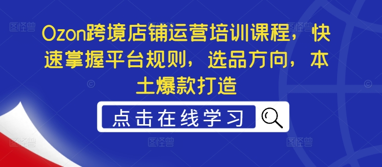 Ozon跨境店铺运营培训课程，快速掌握平台规则，选品方向，本土爆款打造-南友云赚