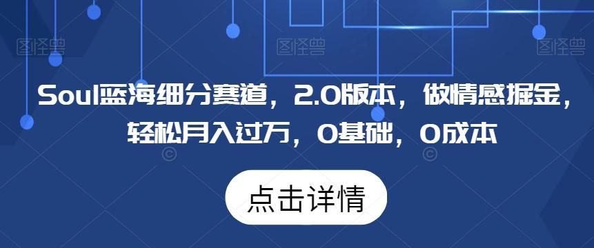 Soul蓝海细分赛道，2.0版本，做情感掘金，轻松月入过万，0基础，0成本-南友云赚