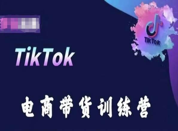 TikTok电商带货训练营，跟随时代潮流，跨境掘金-南友云赚