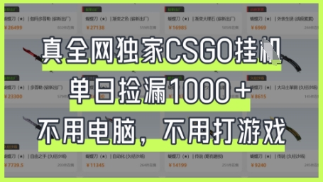 真全网独家CSGO挂G，单日捡漏1k+【揭秘】-南友云赚