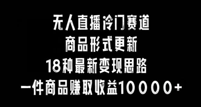 无人直播冷门赛道，商品形式更新，18种变现思路，一件商品赚取收益10000+【揭秘】-南友云赚