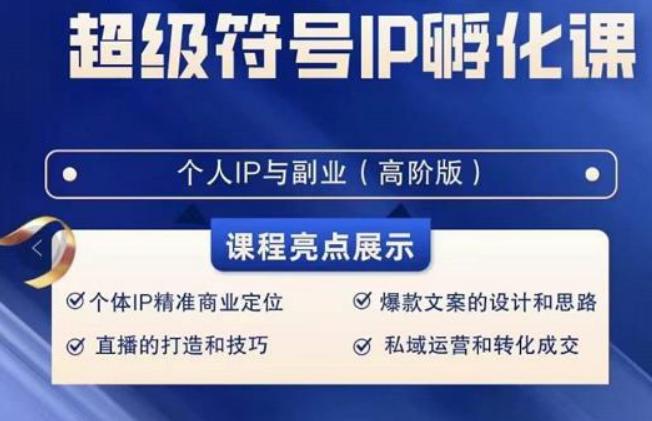 超级符号IP孵化高阶课，建立流量思维底层逻辑，打造属于自己IP（51节课）-南友云赚