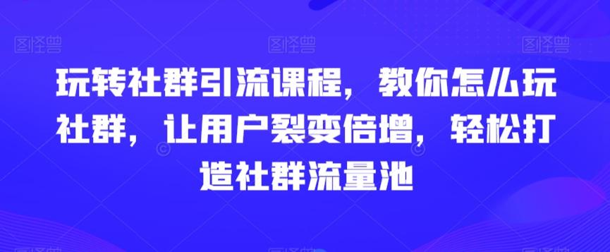 玩转社群引流课程，教你怎么玩社群，让用户裂变倍增，轻松打造社群流量池-南友云赚