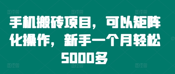 手机搬砖项目，可以矩阵化操作，新手一个月轻松5000多-南友云赚