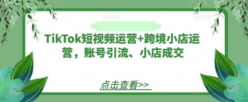 TikTok短视频运营+跨境小店运营，账号引流、小店成交-南友云赚