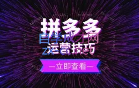 力辛电商·拼多多强付费店群玩法-南友云赚