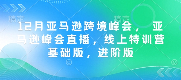 12月亚马逊跨境峰会， 亚马逊峰会直播，线上特训营基础版，进阶版-南友云赚