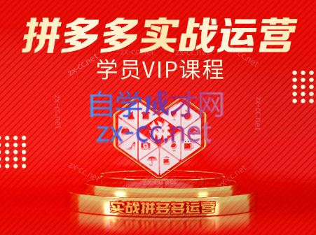 推易电商·拼多多实战运营课(更新2025月)-南友云赚