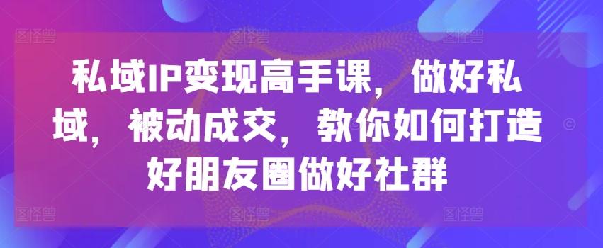 私域IP变现高手课，做好私域，被动成交，教你如何打造好朋友圈做好社群-南友云赚