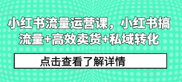 小红书流量运营课，小红书搞流量+高效卖货+私域转化-南友云赚