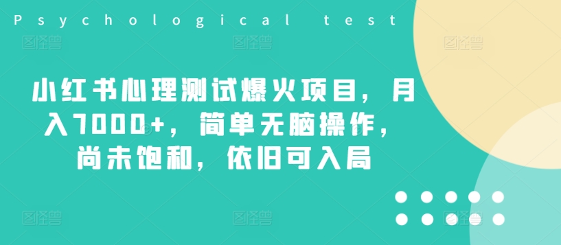 小红书心理测试爆火项目，月入7000+，简单无脑操作，尚未饱和，依旧可入局-南友云赚