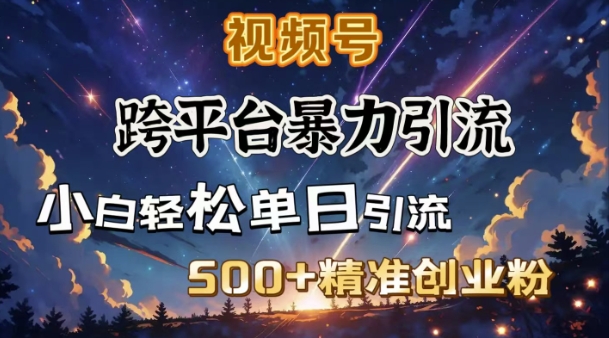 跨平台暴力引流，私域完美闭环，日引500+精准创业粉-南友云赚