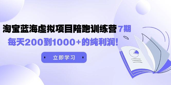 (9541期)黄岛主《淘宝蓝海虚拟项目陪跑训练营7期》每天200到1000+的纯利润-南友云赚