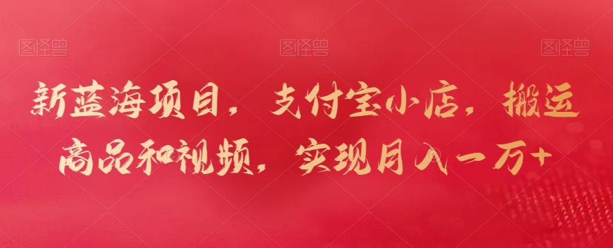 新蓝海项目，支付宝小店，搬运商品和视频，实现月入一万+【揭秘】-南友云赚