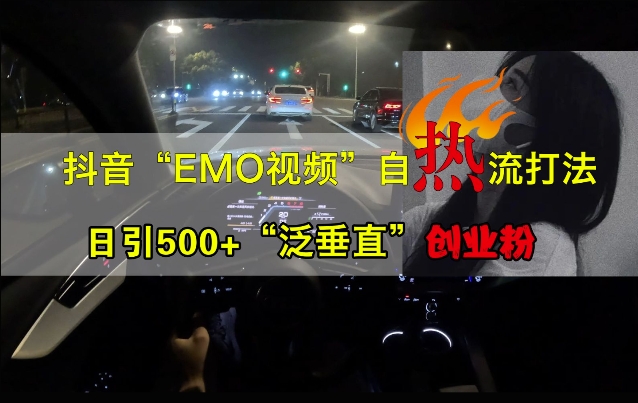 抖音EMO视频自热打法，日引500+“泛垂直”创业粉-南友云赚