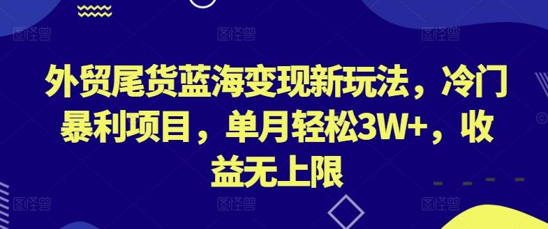 外贸尾货蓝海变现新玩法，冷门暴利项目，单月轻松3W+，收益无上限【揭秘】-南友云赚