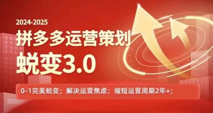 2024-2025拼多多运营策略蜕变3.0，0~1完美蜕变，解决信息焦虑-南友云赚