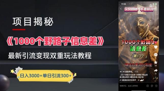 一千个野路子信息差最新玩法教程-变现+引流的玩法具体拆解【揭秘】-南友云赚