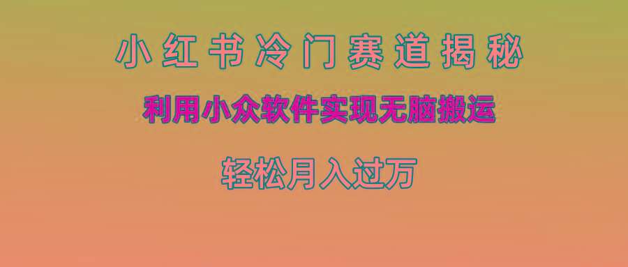 小红书冷门赛道揭秘,利用小众软件实现无脑搬运，轻松月入过万-南友云赚