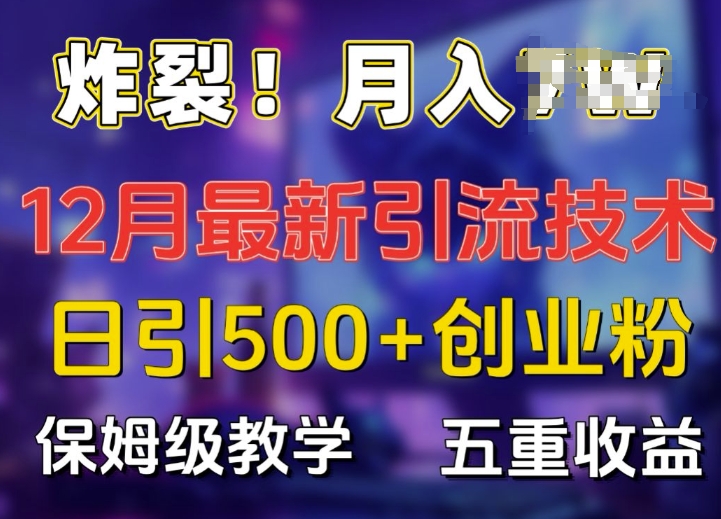 炸裂!揭秘12月最新日引流500+精准创业粉，多重收益保姆级教学-南友云赚