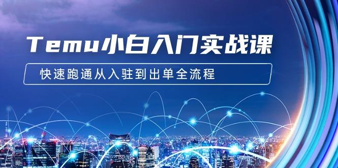 (9295期)Temu小白入门实战课：跨境拼多多电商培训 快速跑通从入驻到出单全流程-12节-南友云赚